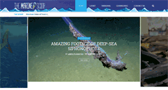 Desktop Screenshot of marinescoop.com